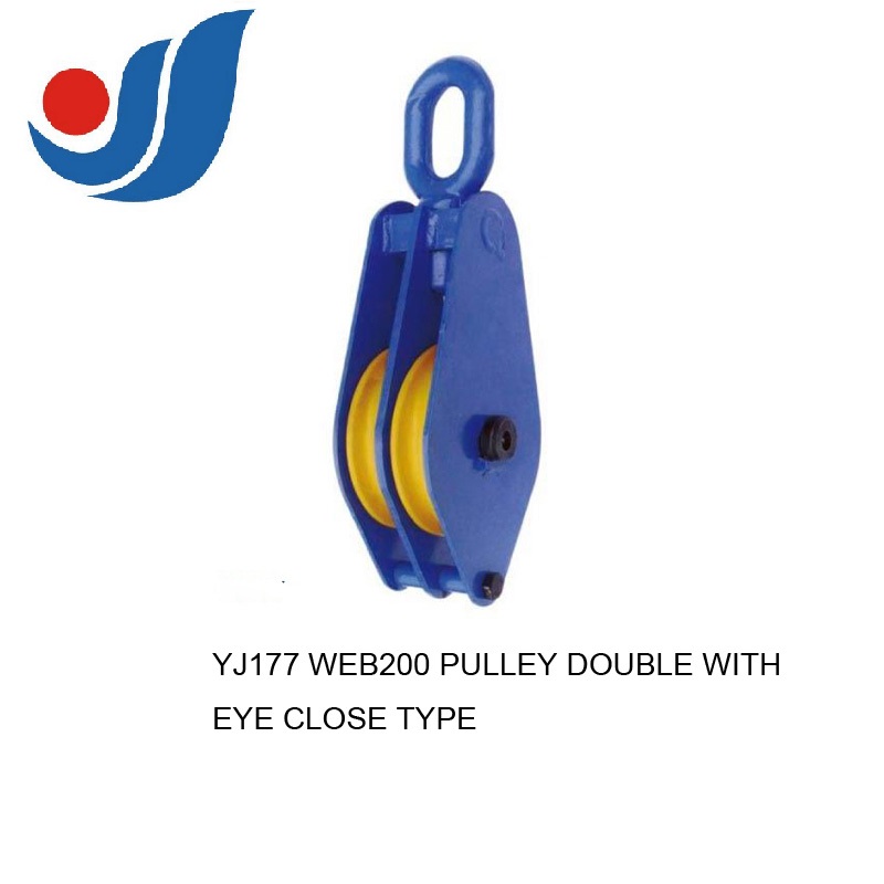 YJ177 WEB200 PULLEY DOBLE WITH EYE CLOSE TYPE